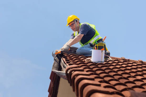 Best Roof Maintenance and Cleaning  in Cave Creek, AZ